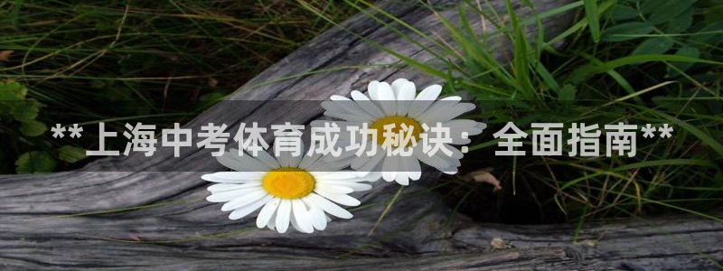 欧陆娱乐稳中