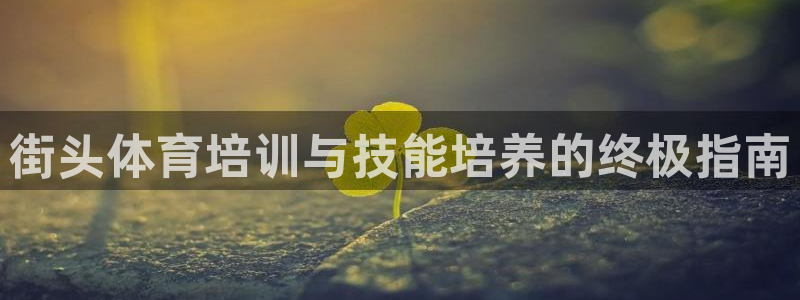 欧陆娱乐登录平台官网：街头体育培训与技能培养的终极指