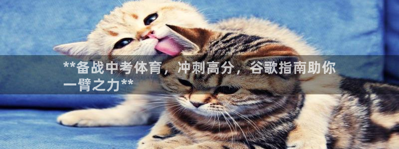 欧陆娱乐怎么注册会员：**备战中考体育，冲刺高分，谷