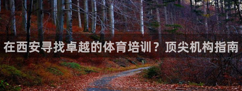 欧陆娱乐平台登录不上怎么回事：在西安寻找卓越的体育培