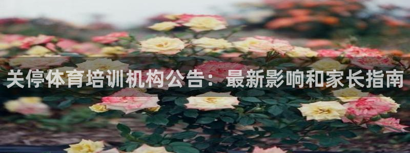 欧陆娱乐app攻略大全：关停体育培训机构公告：最新影