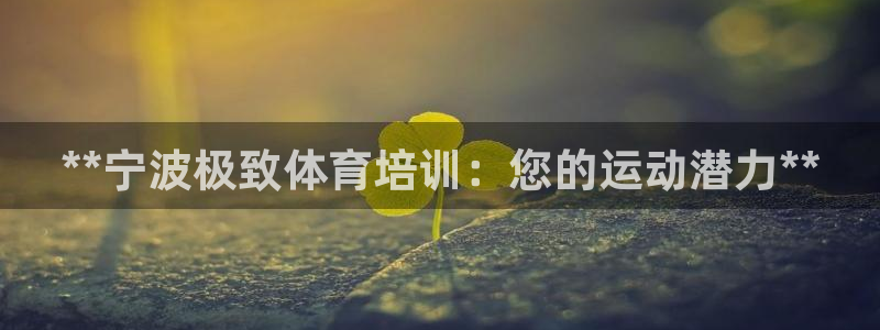 欧陆娱乐平台咋样赚钱的：**宁波极致体育培训：您的运