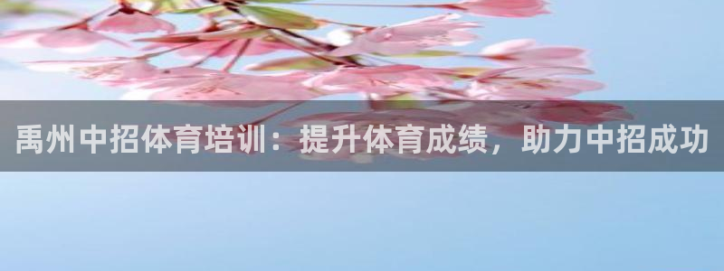欧陆娱乐欢迎访问：禹州中招体育培训：提升体育成绩，助