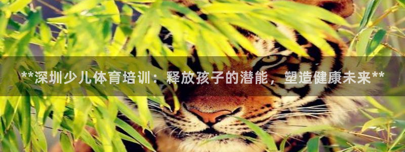 欧陆娱乐测速软件下载：**深圳少儿体育培训：释放孩子