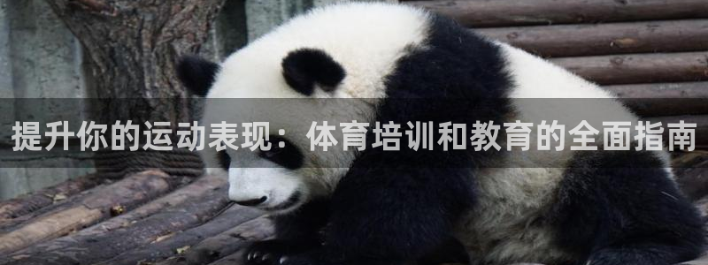 欧陆娱乐会员有什么用：提升你的运动表现：体育培训和教