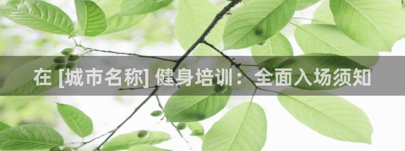 欧陆娱乐官网入口：在 [城市名称] 健身培训：全面入