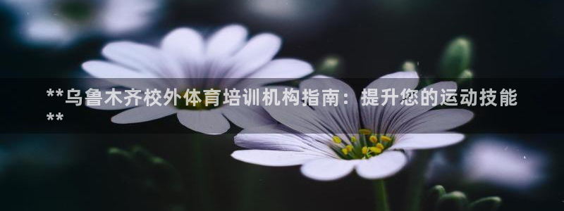 欧陆娱乐百科大全：**乌鲁木齐校外体育培训机构指南：