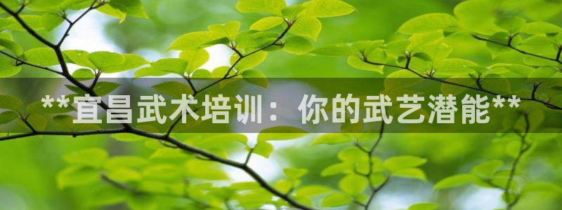 欧陆娱乐官方网站下载：**宜昌武术培训：你的武艺潜能