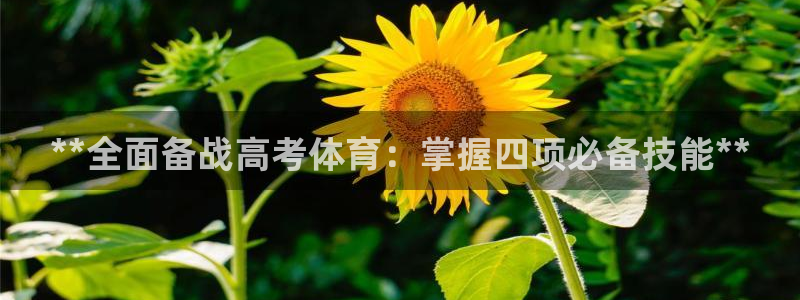 欧陆娱乐app攻略大全：**全面备战高考体育：掌握四