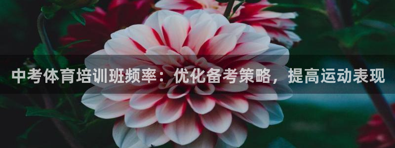 欧陆娱乐游戏：中考体育培训班频率：优化备考策略，提高