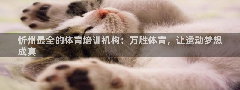 欧陆娱乐注册链接怎么弄的：忻州最全的体育培训机构：万
