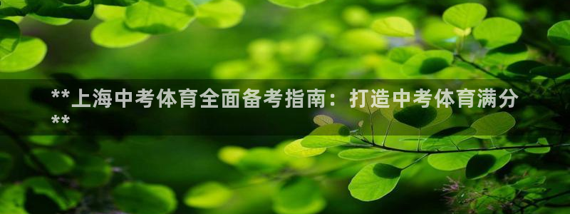 欧陆娱乐挂机怎么玩：**上海中考体育全面备考指南：打