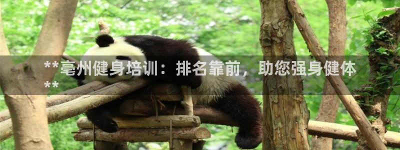 欧陆官方网站：**亳州健身培训：排名靠前，助您强身健