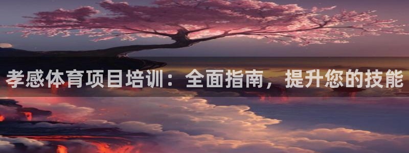 欧陆娱乐注册代理多少钱啊：孝感体育项目培训：全面指南