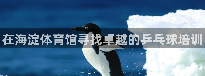 欧陆娱乐登录测速软件：在海淀体育馆寻找卓越的乒乓球培