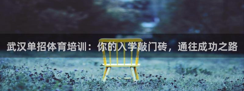 欧陆娱乐试玩官网：武汉单招体育培训：你的入学敲门砖，