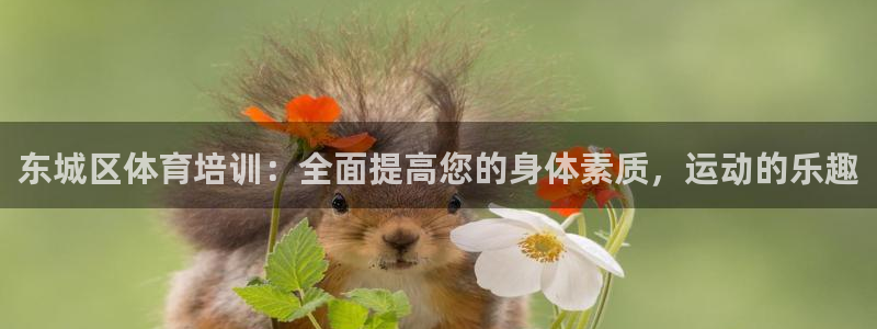 欧陆娱乐官网网址大全：东城区体育培训：全面提高您的身