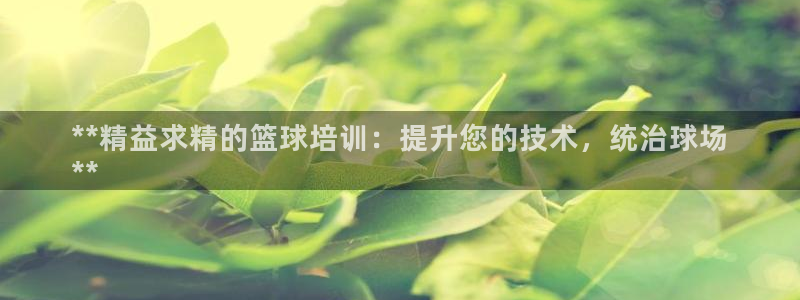 欧陆娱乐登录平台有哪些：**精益求精的篮球培训：提升