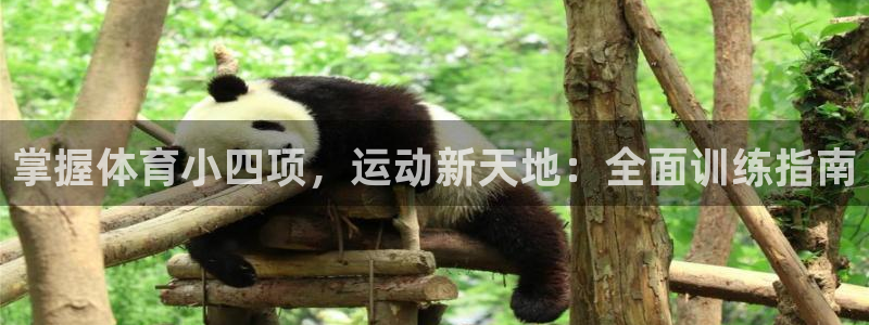欧陆娱乐线路测速：掌握体育小四项，运动新天地：全面训