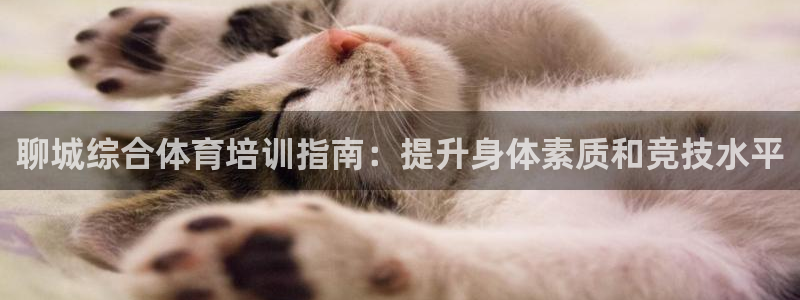 欧陆娱乐平台登录不上：聊城综合体育培训指南：提升身体