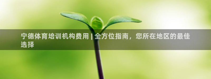 欧陆娱乐欧陆主管：宁德体育培训机构费用 | 全方位指