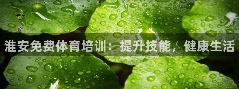 欧陆娱乐平台登陆地址是什么意思：淮安免费体育培训：提