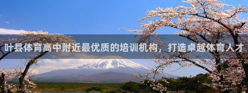 欧陆娱乐怎么样：叶县体育高中附近最优质的培训机构，打