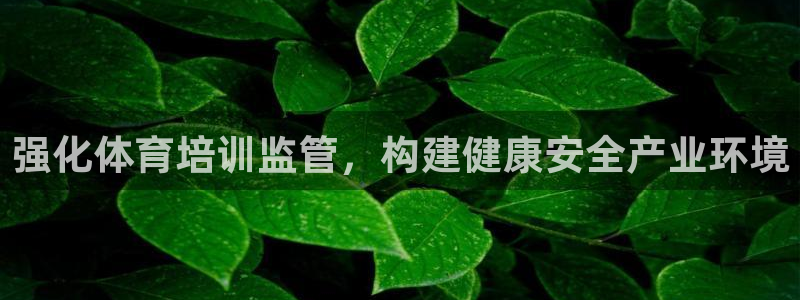 欧陆娱乐出款了吗：强化体育培训监管，构建健康安全产业