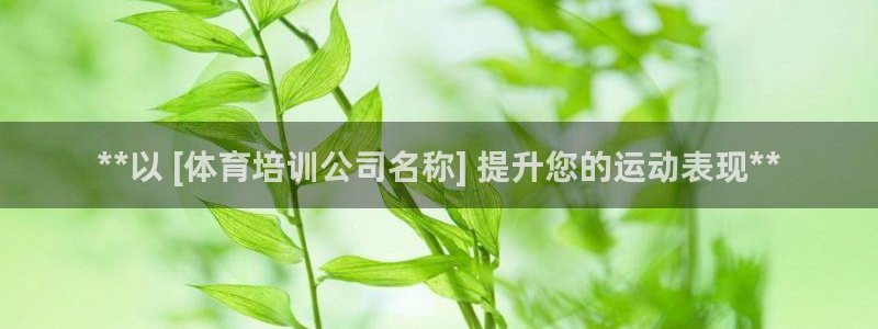 欧陆娱乐登录平台下载：**以 [体育培训公司名称] 
