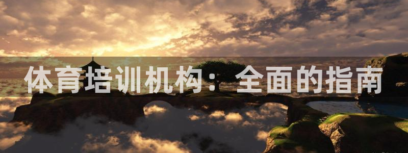 欧陆娱乐app下载安装：体育培训机构：全面的指南