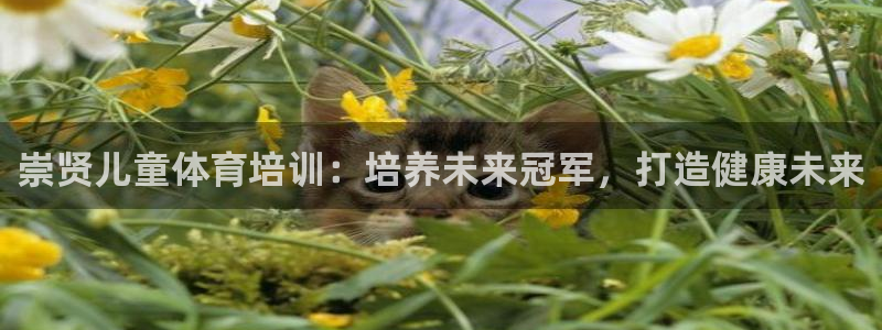 欧陆娱乐登录平台：崇贤儿童体育培训：培养未来冠军，打