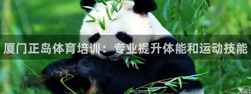 欧陆娱乐平台登录不上怎么回事：厦门正岛体育培训：专业