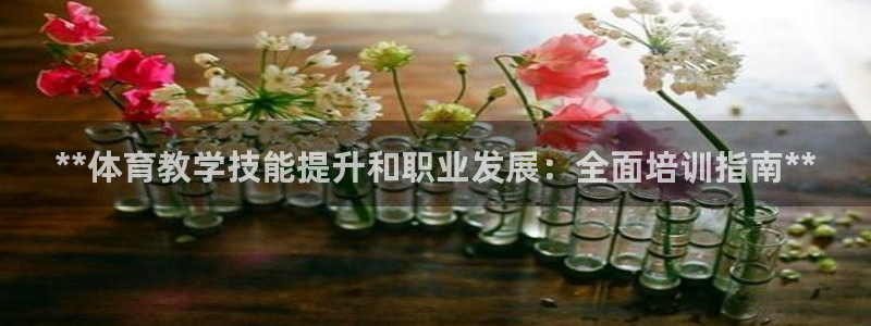 欧陆娱乐官方网站入口：**体育教学技能提升和职业发展