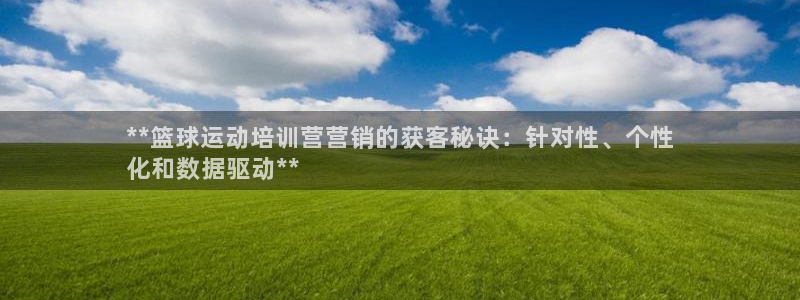 欧陆娱乐测速：**篮球运动培训营营销的获客秘诀：针对