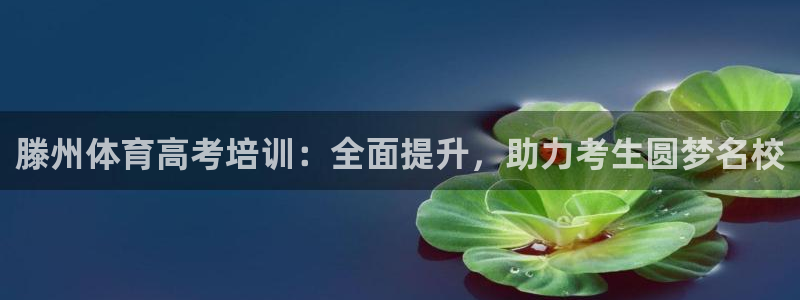 欧陆商城：滕州体育高考培训：全面提升，助力考生圆梦名