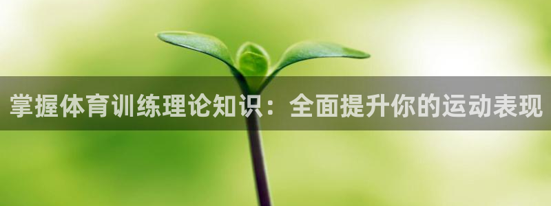 欧陆娱乐app下载：掌握体育训练理论知识：全面提升你