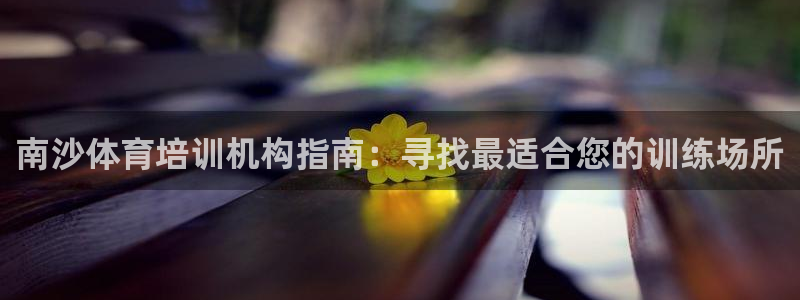 欧陆娱乐注册代理多少钱一年：南沙体育培训机构指南：寻