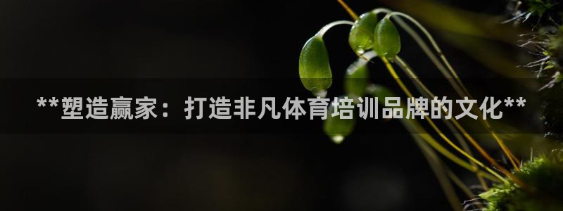 欧陆娱乐官方下载安装：**塑造赢家：打造非凡体育培训