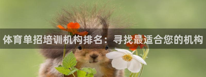 欧陆娱乐代理多少个点位可以赚钱：体育单招培训机构排名