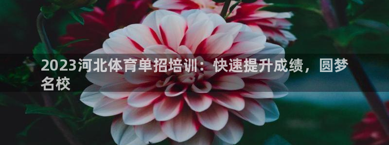 欧陆公司在哪里：2023河北体育单招培训：快速提升成