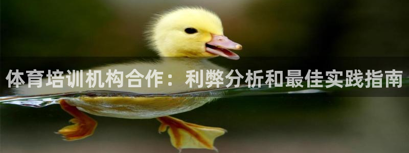 欧陆娱乐怎么注册：体育培训机构合作：利弊分析和最佳实