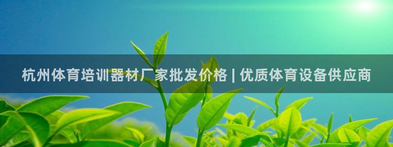 欧陆娱乐欧陆主管：杭州体育培训器材厂家批发价格 | 