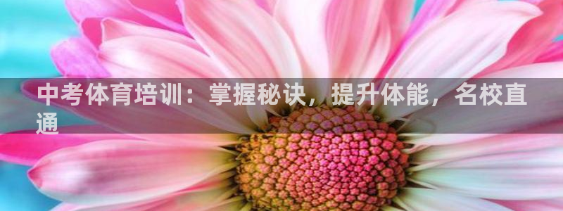 欧陆娱乐怎么注册会员账号啊：中考体育培训：掌握秘诀，