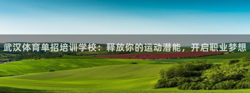 欧陆娱乐安全?：武汉体育单招培训学校：释放你的运动潜