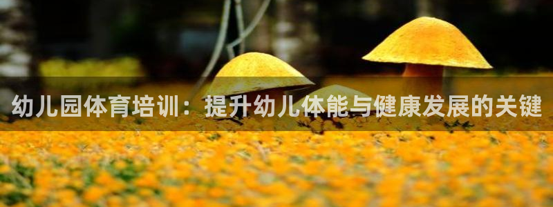 欧陆娱乐登陆平台有哪些：幼儿园体育培训：提升幼儿体能