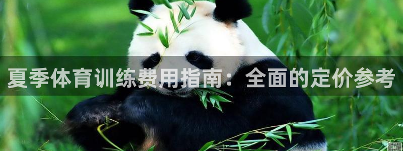 欧陆娱乐官网网址大全：夏季体育训练费用指南：全面的定