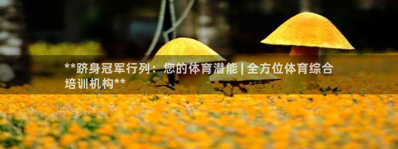 欧陆娱乐共创美好时刻：**跻身冠军行列：您的体育潜能