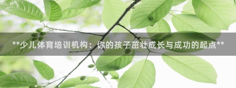 欧陆娱乐简介：**少儿体育培训机构：你的孩子茁壮成长