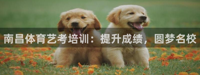 欧陆娱乐的故事有哪些：南昌体育艺考培训：提升成绩，圆