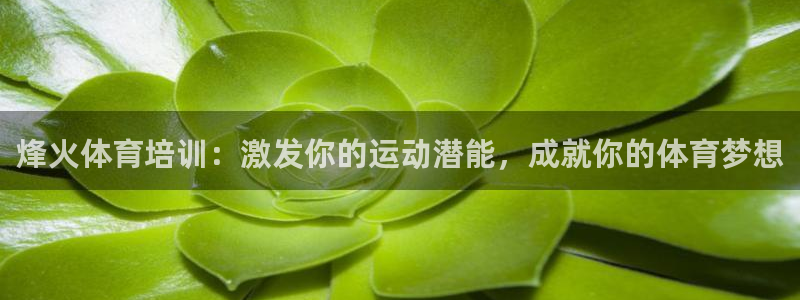 欧陆游戏平台：烽火体育培训：激发你的运动潜能，成就你